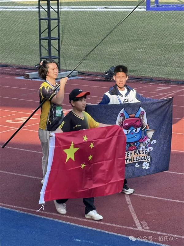 龙队、小白、果果